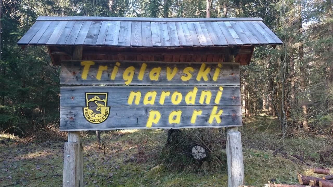 Zajcek Apartma Mojstrana Eksteriør billede