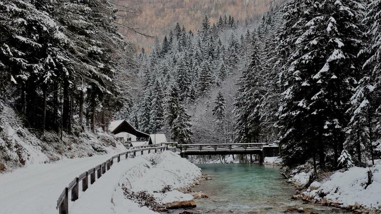 Zajcek Apartma Mojstrana Eksteriør billede