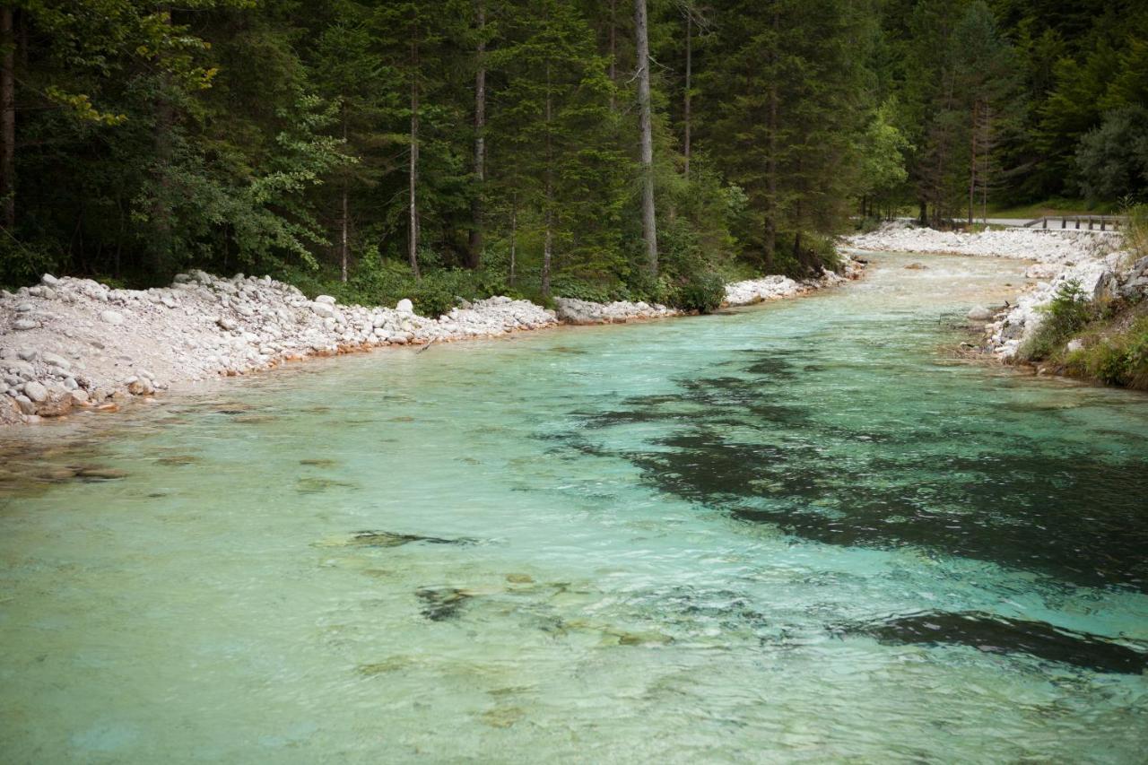 Zajcek Apartma Mojstrana Eksteriør billede
